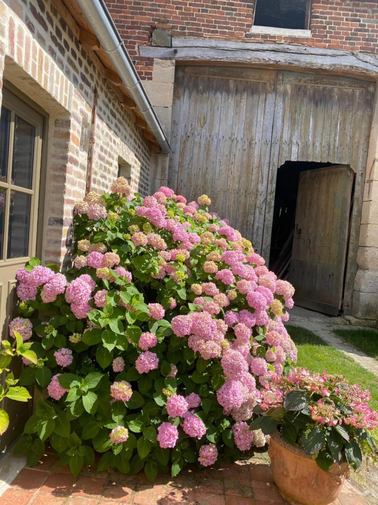 Les Hortensias Canly Ngoại thất bức ảnh